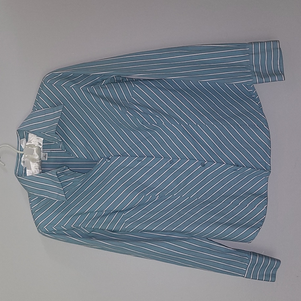 Ann Taylor LOFT fitted, blue and white striped button up shirt